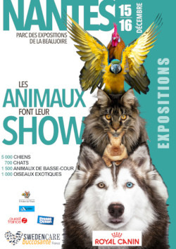 Salon les animaux font leur show