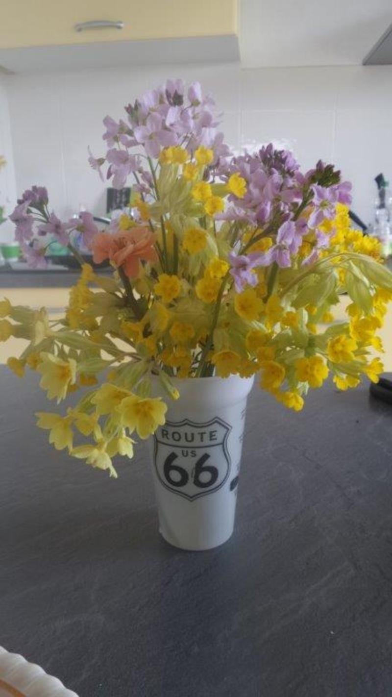 20160410_152259.jpg