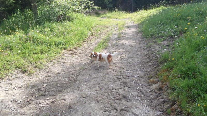 20160730_105903.jpg