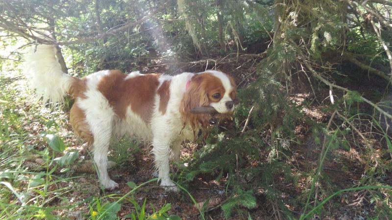 20160730_110128.jpg