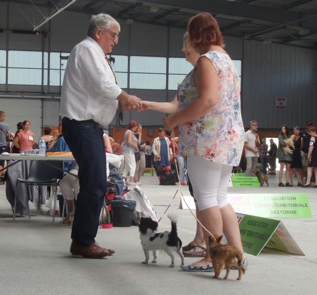 20180715_113149_resized