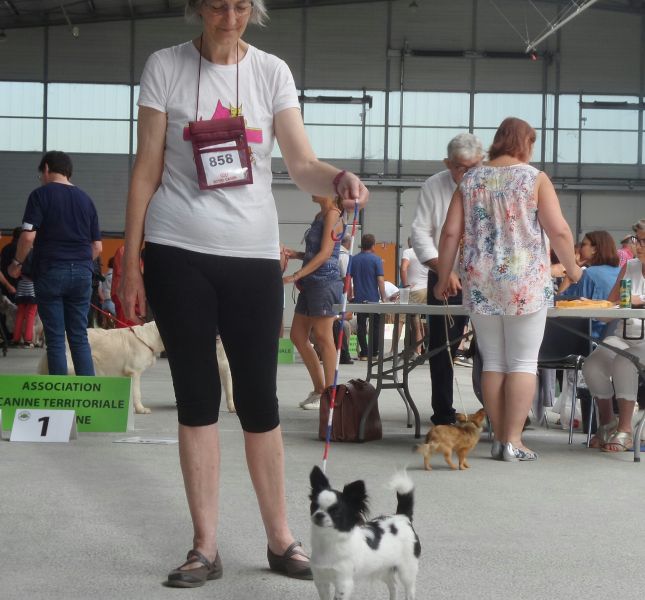 20180715_113156_resized