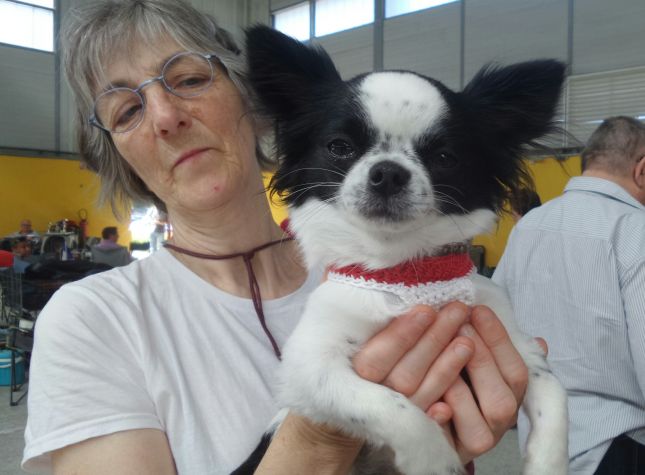 20180715_115225_resized