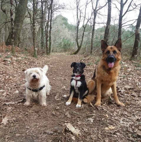 36188162_1817051185025293_4027651348995506176_n