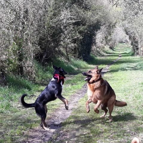 36228182_1817051158358629_5191563498819158016_n