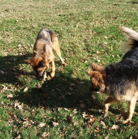 36258392_1817050861691992_7971480634478559232_n