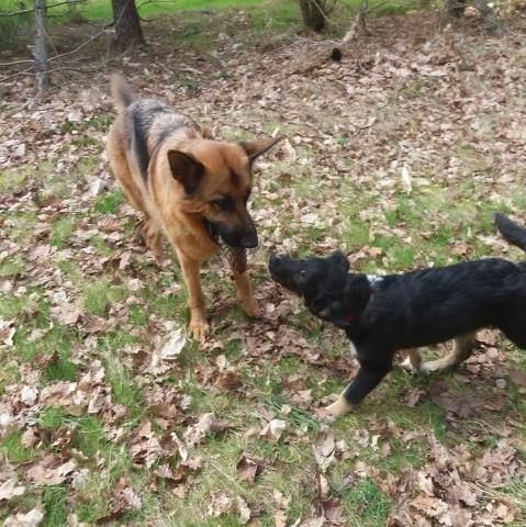 36293294_1817050755025336_6694563153453252608_n