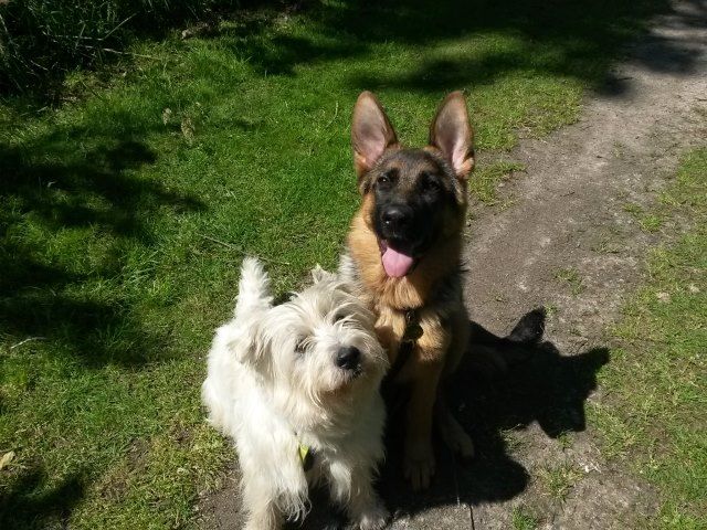 36318531_1817050561692022_3893502684069625856_n