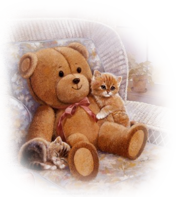 vieil ours en peluche