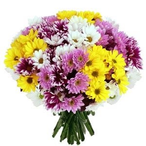 Image du Blog lespoilusdemalouisiane.centerblog.net