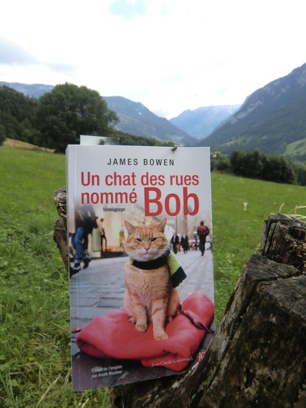 Un chat des rues nommé Bob, 
