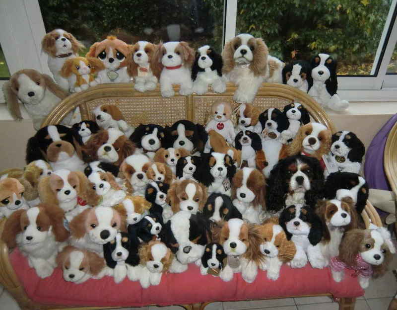 peluche chien cavalier king charles