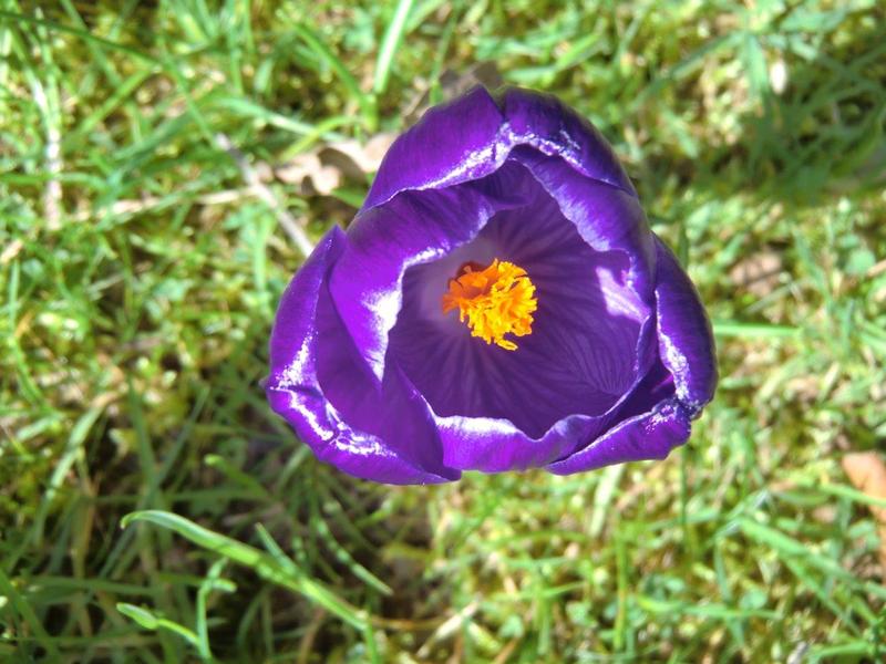 CIMG7145.jpg