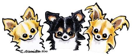 Longhaired-Chihuahua-Trio_art