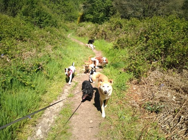 Promenade_le_13.05_10