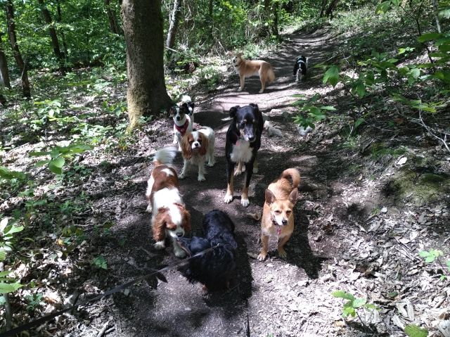 Promenade_le_13.05_11