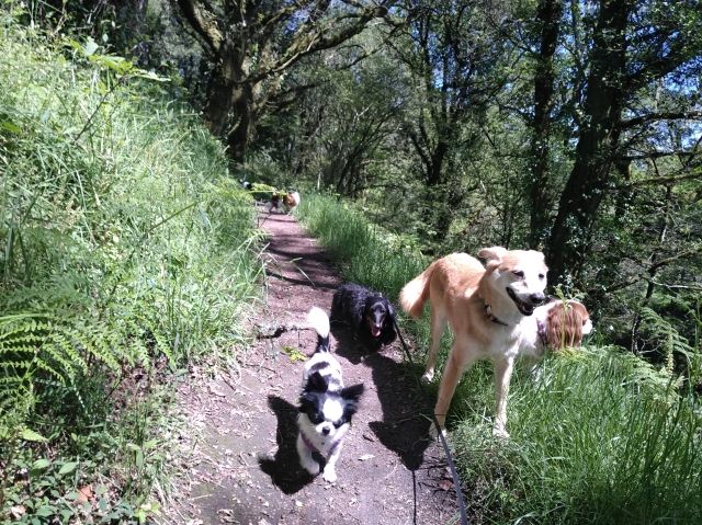 Promenade_le_13.05_3