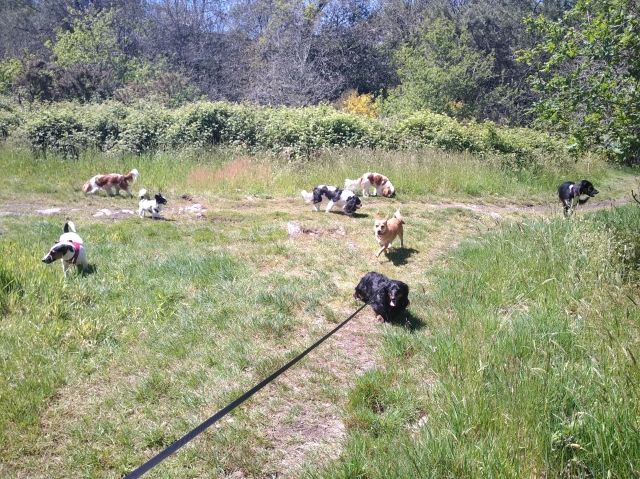 Promenade_le_13.05_4