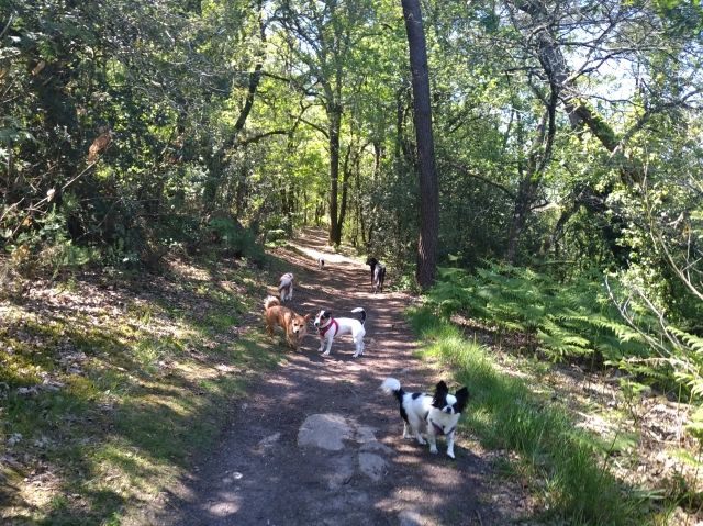 Promenade_le_13.05_7