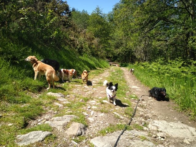 Promenade_le_13.05_9