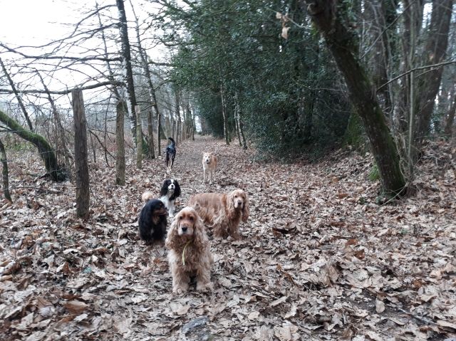 Promenade_le_16.01.2019_midi_10