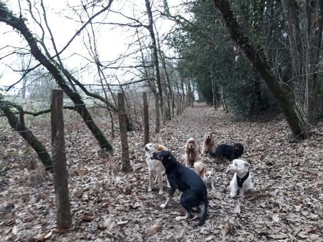 Promenade_le_16.01.2019_midi_12