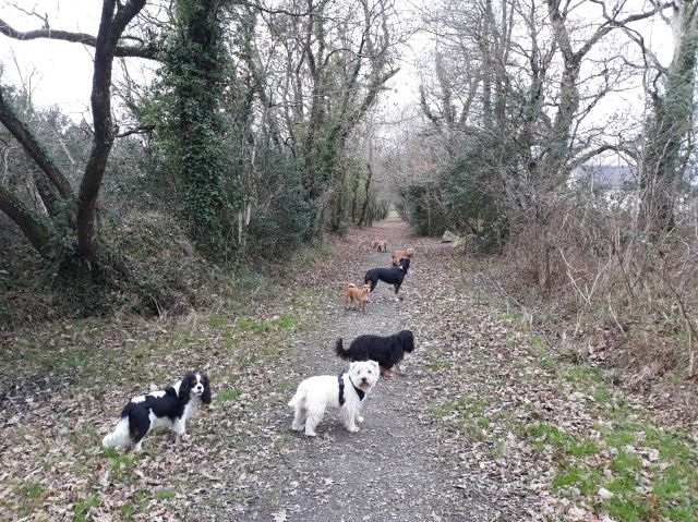 Promenade_le_16.01.2019_midi_2