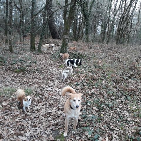 Promenade_le_16.01.2019_midi_4