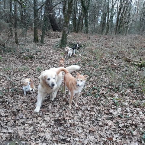 Promenade_le_16.01.2019_midi_5