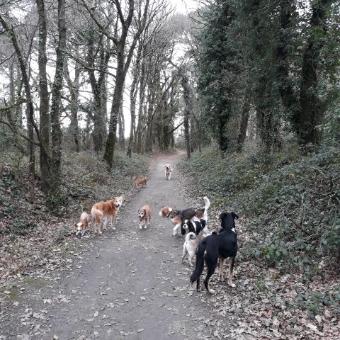 Promenade_le_16.01.2019_midi_6