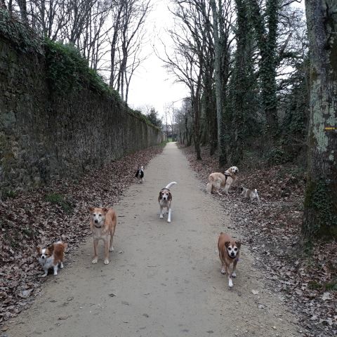 Promenade_le_16.01.2019_midi_8