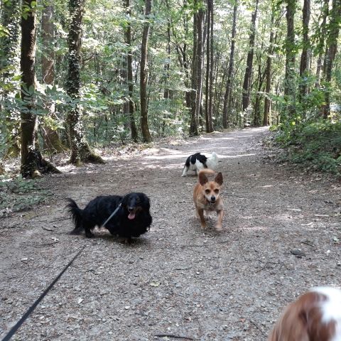 Promenade_le_23.05_2