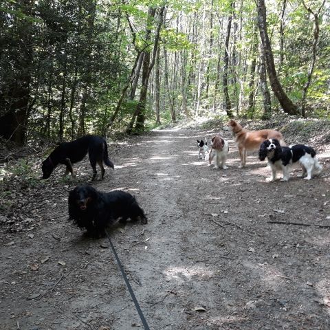 Promenade_le_23.05_3