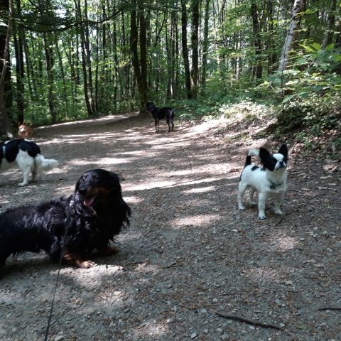 Promenade_le_23.05_4