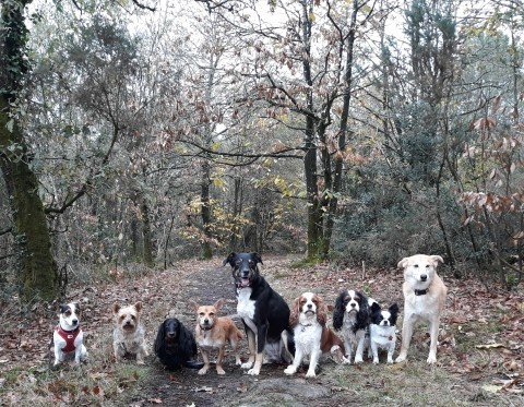 Promenade avec Animo services au camp de César