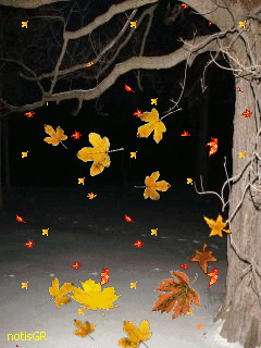 blog13111511_1.gif
