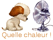 blog270517-chaleur.gif