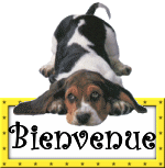 blog80717bienve11.gif