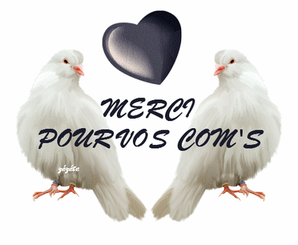 blog80717merci-com.gif