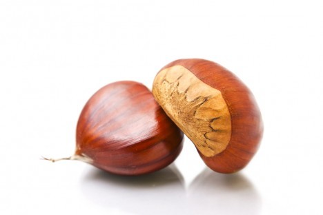 La Saison Des Chataignes