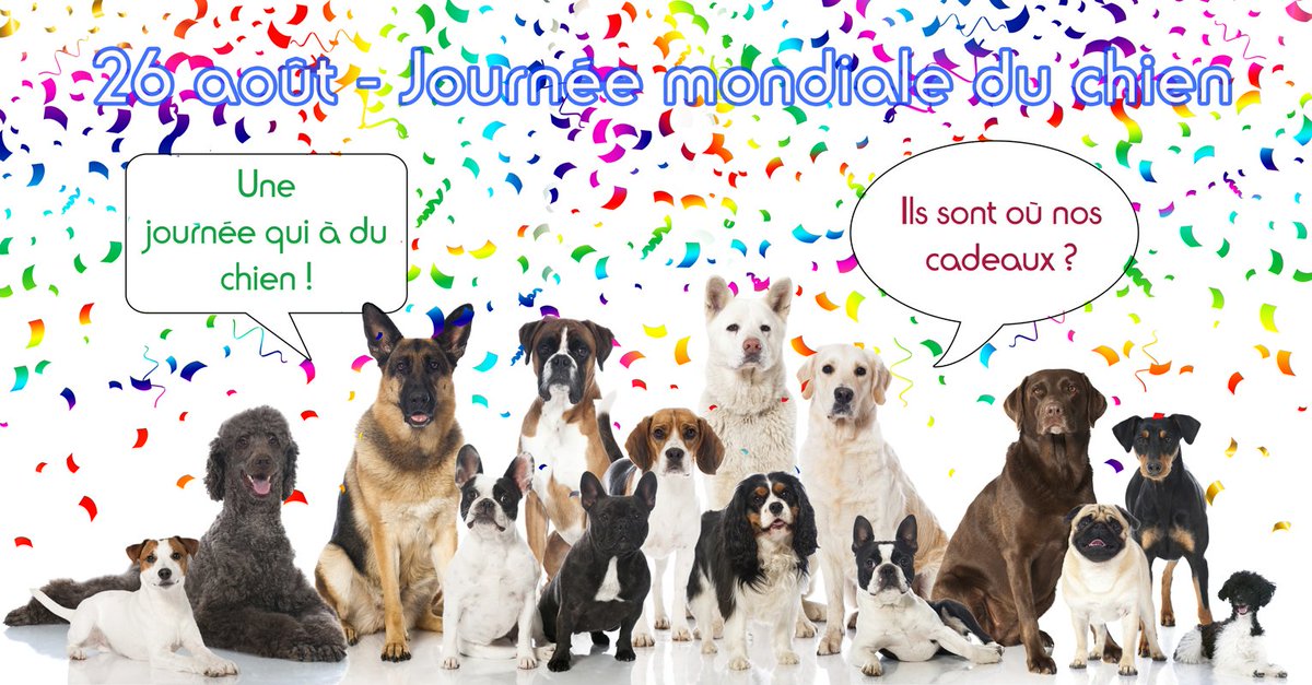 26 Aout journée mondiale du chien